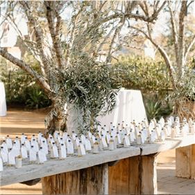 Olive Grove Details 