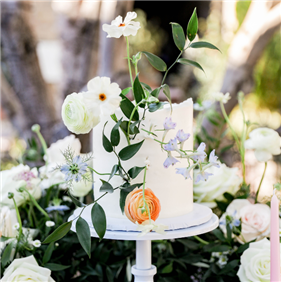 Wedding Gallery