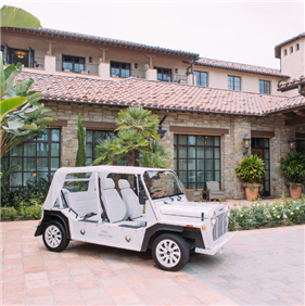 Wedding Gallery
